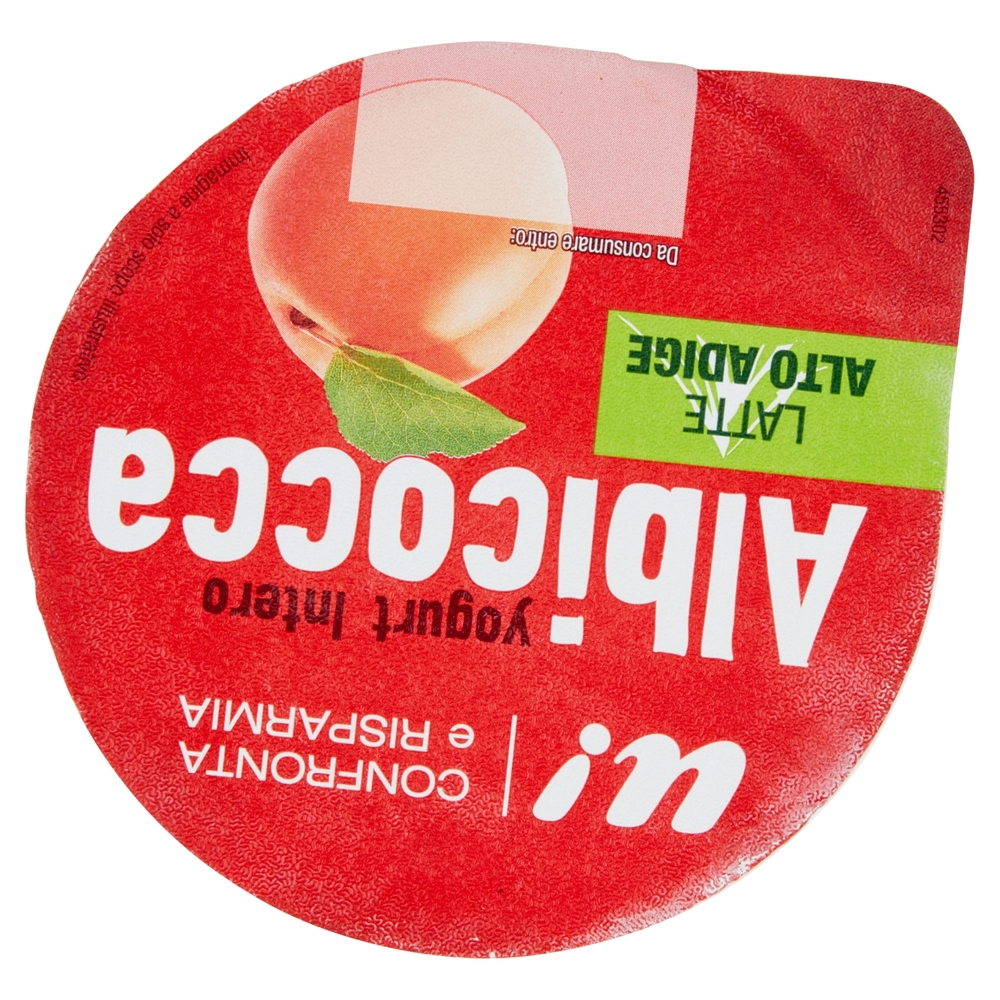 Yogurt Intero all'Albicocca, 500 g